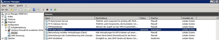 Windows Dienste - TSM Client Scheduler Windows Dienste - TSM Client Scheduler