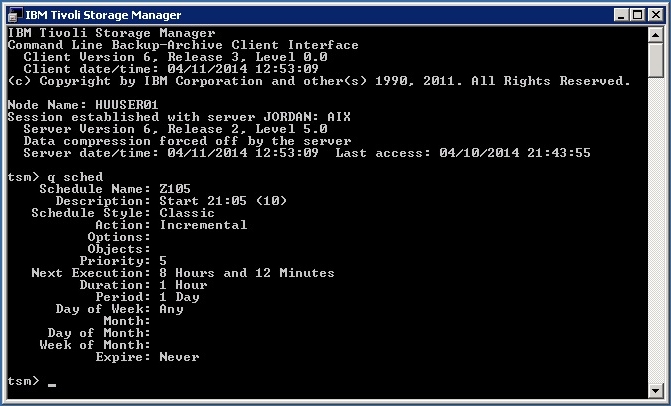 Windows TSM Client Scheduler Check 02